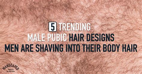 male pubic hair images|Pubic Hair Men Pictures, Images and Stock Photos.